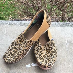 Cheetah toms-wild life edition